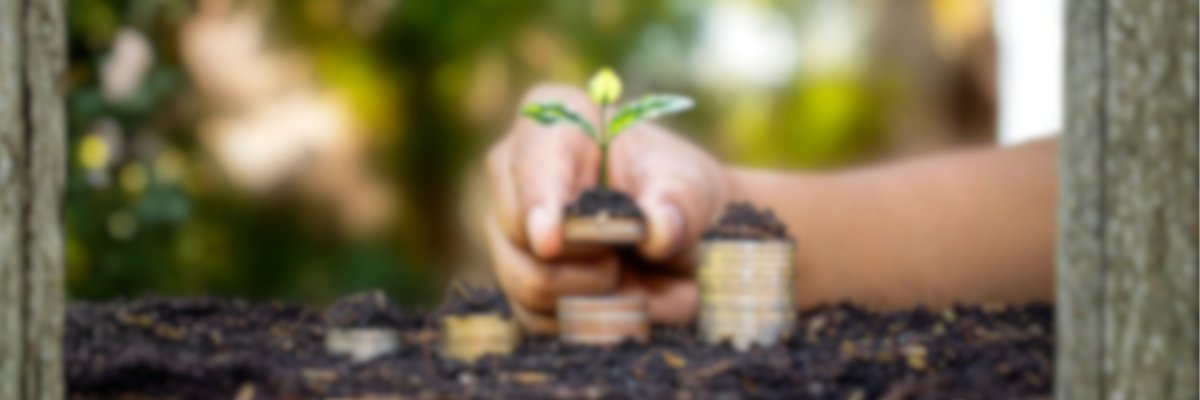 Das Foto zeigt Stapel aus Münzen, dessen Menge sich von links nach rechts erhöhnt. Eine Person legt auf einen mitleren Stapel eine Anzahl von Münzen, mit einer kleinen Pflanze auf der obersten Münze. 