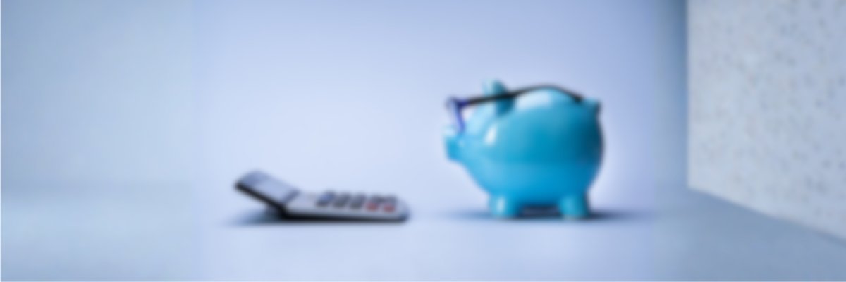 Banner LEADER Auf dem Foto ist ein Taschenrechner, sowie ein blaues Sparschwein mit einer Sonnenbrille zu erkennen.